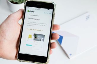 What is an ecommerce business